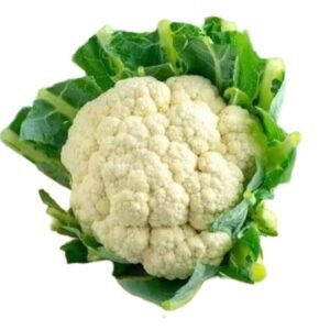 Arzao – Fresh Vegetables & Groceries Online