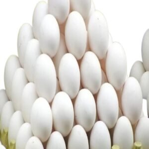 Buy Fresh Eggs Online at ₹7 | Farm Fresh Eggs Home Delivery – Arzao