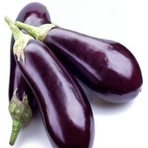 Buy Fresh Brinjal 500g Online at ₹30 | Healthy Baingan – Arzao