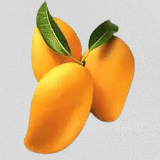 fresho! Mango - Neelam, 1 kg