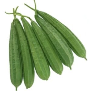 Fresh Ridge Gourd (Jhinga) – Buy Premium Quality Vegetables Online | Arzao