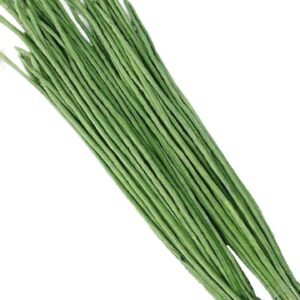 Fresh Green Yardlong Beans Bunch – Arzao