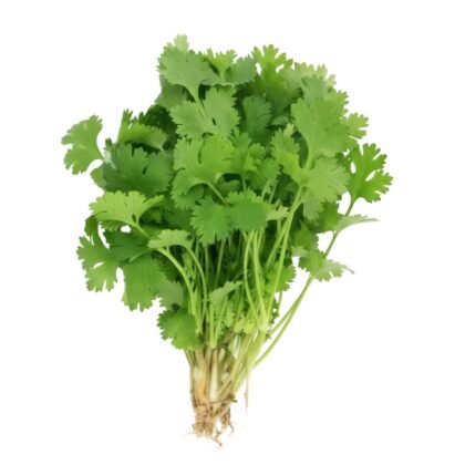 Fresh green coriander leaves – buy online at Arzao