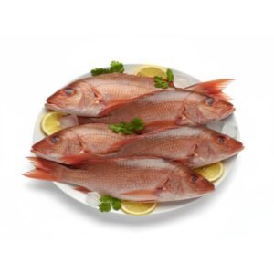 Fresh Red Snapper Fish | Premium Sea Fish | Cleaned & Ready to Cook | Buy Online | Arzao