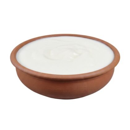 Fresh Thick Yogurt in Traditional Clay Pot – Natural Homemade Curd
